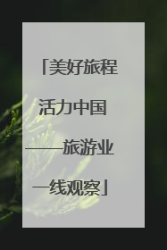 美好旅程 活力中国——旅游业一线观察
