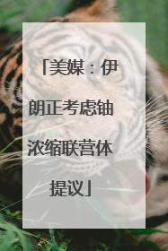 美媒：伊朗正考虑铀浓缩联营体提议