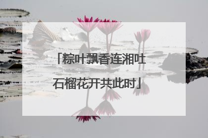 粽叶飘香连湘吐 石榴花开共此时