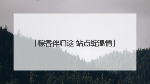 粽香伴归途 站点绽温情