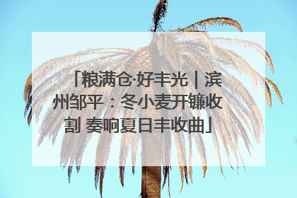粮满仓·好丰光｜滨州邹平：冬小麦开镰收割 奏响夏日丰收曲