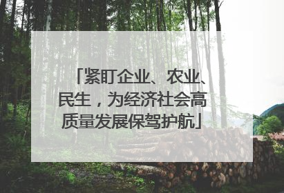 紧盯企业、农业、民生，为经济社会高质量发展保驾护航