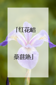 红花峪 桑葚熟