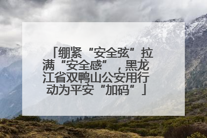 绷紧“安全弦”拉满“安全感”，黑龙江省双鸭山公安用行动为平安“加码”