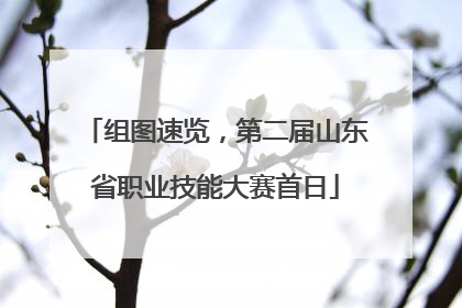 组图速览，第二届山东省职业技能大赛首日