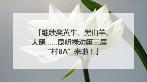 继续奖黄牛、黑山羊、大鹅……昆明禄劝第三届“村BA”来啦！