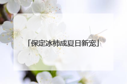 保定冰柿成夏日新宠