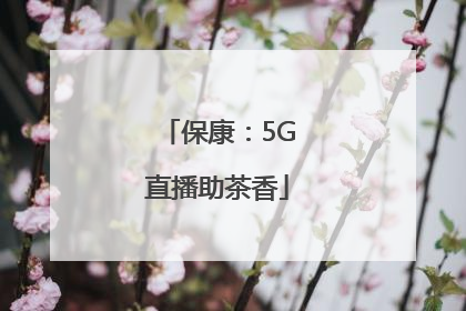 保康：5G直播助茶香