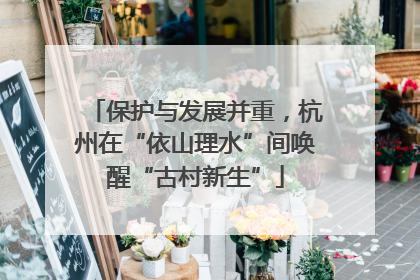 保护与发展并重，杭州在“依山理水”间唤醒“古村新生”