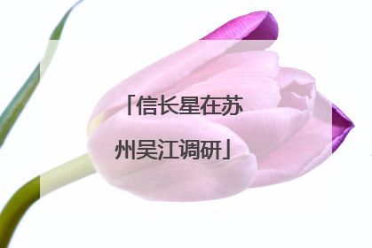信长星在苏州吴江调研