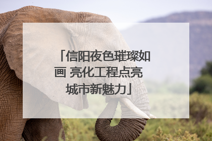 信阳夜色璀璨如画 亮化工程点亮城市新魅力