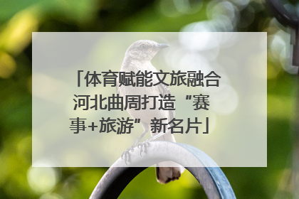 体育赋能文旅融合 河北曲周打造“赛事+旅游”新名片