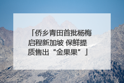侨乡青田首批杨梅启程新加坡 保鲜提质售出“金果果”