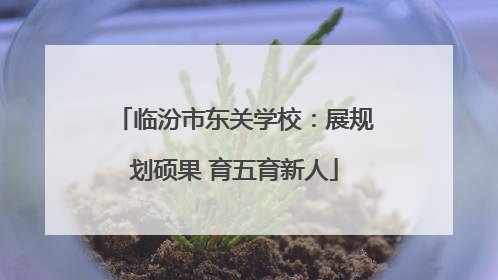 临汾市东关学校：展规划硕果 育五育新人