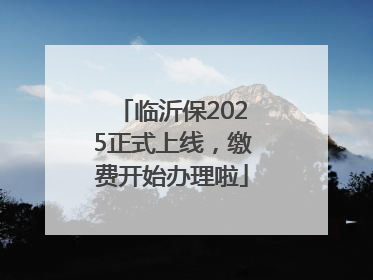 临沂保2025正式上线，缴费开始办理啦