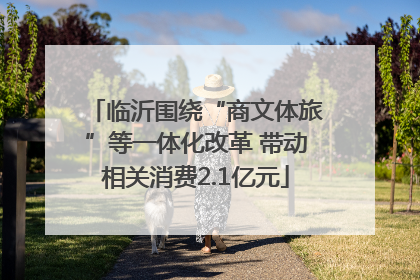 临沂围绕“商文体旅”等一体化改革 带动相关消费2.1亿元