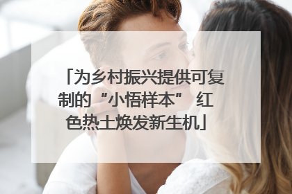 为乡村振兴提供可复制的“小悟样本” 红色热土焕发新生机