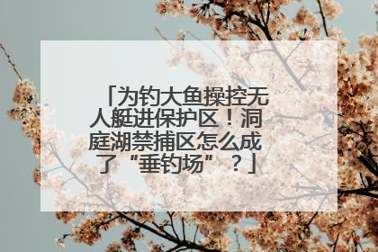 为钓大鱼操控无人艇进保护区！洞庭湖禁捕区怎么成了“垂钓场”？