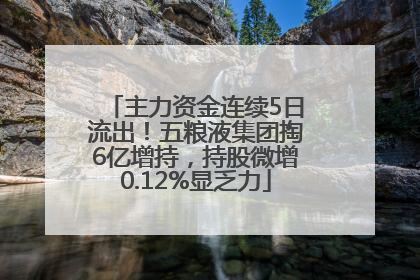 主力资金连续5日流出！五粮液集团掏6亿增持，持股微增0.12%显乏力