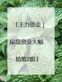 主力资金｜尾盘资金大幅抢筹2股