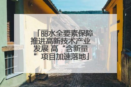 丽水全要素保障推进高新技术产业发展 高“含新量”项目加速落地