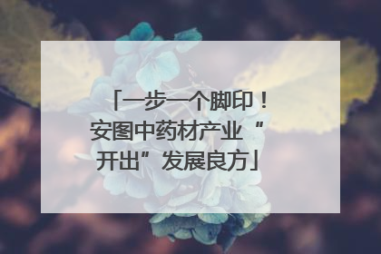 一步一个脚印！安图中药材产业“开出”发展良方