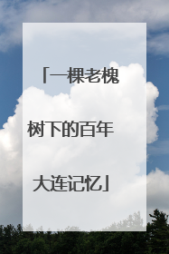 一棵老槐树下的百年大连记忆