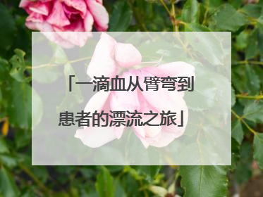 一滴血从臂弯到患者的漂流之旅