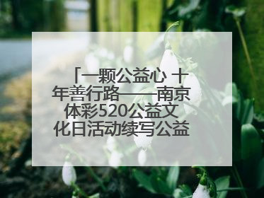 一颗公益心 十年善行路——南京体彩520公益文化日活动续写公益新篇章