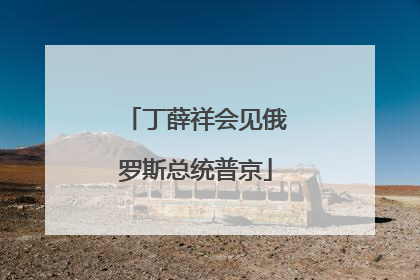 丁薛祥会见俄罗斯总统普京