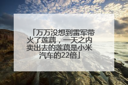万万没想到雷军带火了莲藕，一天之内卖出去的莲藕是小米汽车的22倍