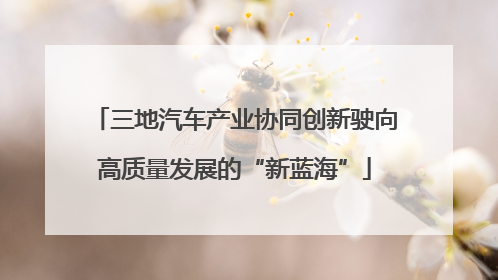 三地汽车产业协同创新驶向高质量发展的“新蓝海”