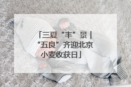 三夏“丰”景｜“五良”齐迎北京小麦收获日