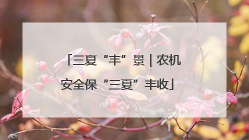 三夏“丰”景｜农机安全保“三夏”丰收