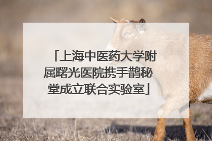 上海中医药大学附属曙光医院携手鹊秘堂成立联合实验室