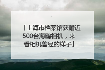 上海市档案馆获赠近500台海鸥相机，来看相机曾经的样子