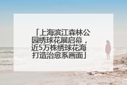 上海滨江森林公园绣球花展启幕，近5万株绣球花海打造治愈系画面