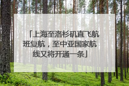 上海至洛杉矶直飞航班复航，至中亚国家航线又将开通一条