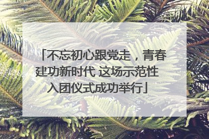 不忘初心跟党走，青春建功新时代 这场示范性入团仪式成功举行