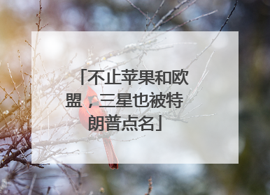 不止苹果和欧盟，三星也被特朗普点名