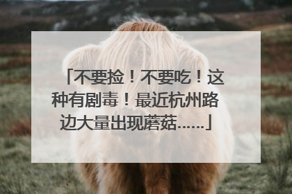 不要捡！不要吃！这种有剧毒！最近杭州路边大量出现蘑菇……