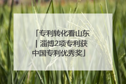 专利转化看山东｜淄博2项专利获中国专利优秀奖