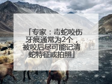 专家：毒蛇咬伤牙痕通常为2个，被咬后尽可能记清蛇特征或拍照
