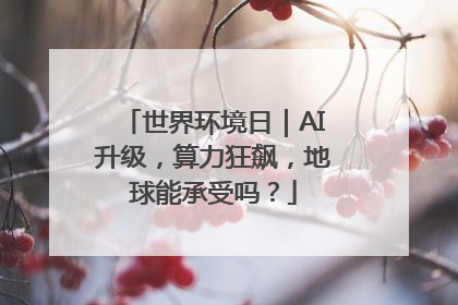 世界环境日｜AI升级，算力狂飙，地球能承受吗？