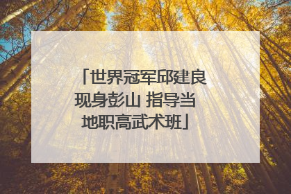 世界冠军邱建良现身彭山 指导当地职高武术班