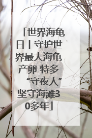 世界海龟日丨守护世界最大海龟产卵 特多“守夜人”坚守海滩30多年