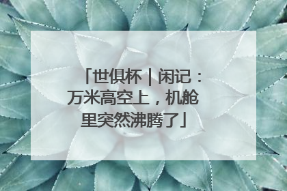 世俱杯｜闲记：万米高空上，机舱里突然沸腾了