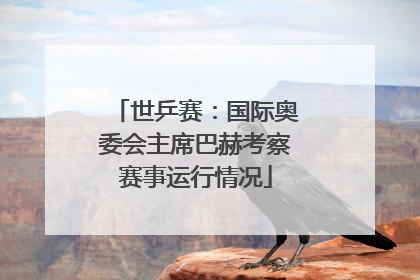 世乒赛：国际奥委会主席巴赫考察赛事运行情况