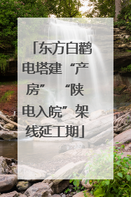东方白鹳电塔建“产房” “陕电入皖”架线延工期