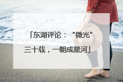 东湖评论：“微光”三十载，一朝成星河